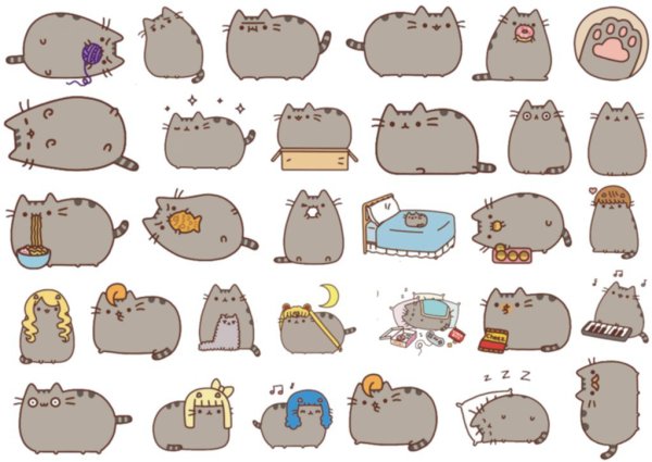 Стикер "котик"