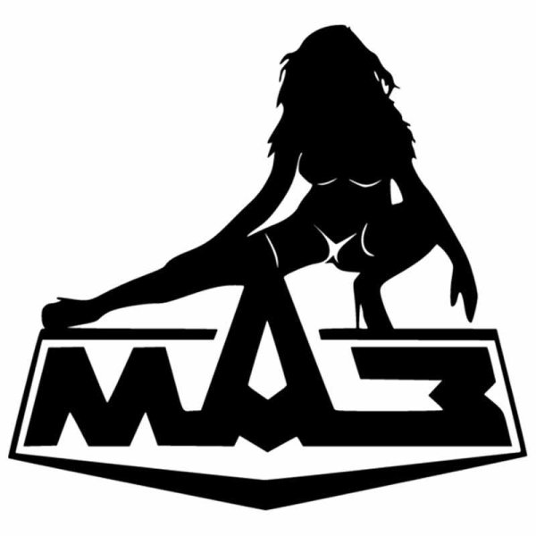 Девушка на шесте наклейка