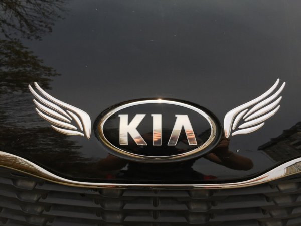 Kia Rio наклейка