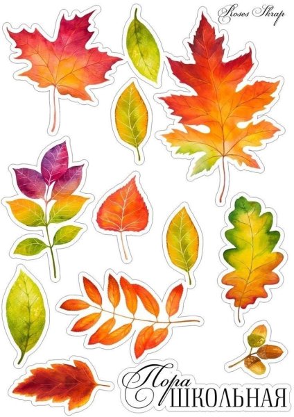 Листья для вырезания цветные