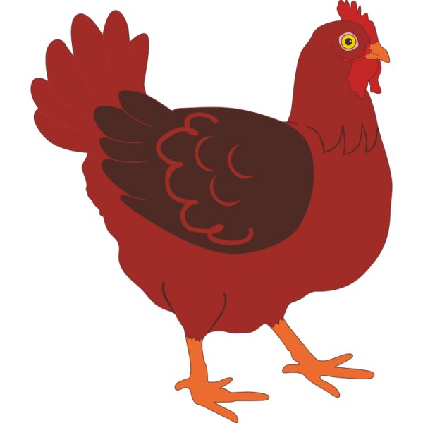 Курица для вырезания цветной