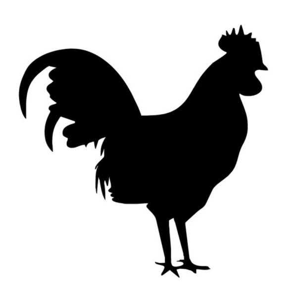 Курица стикер