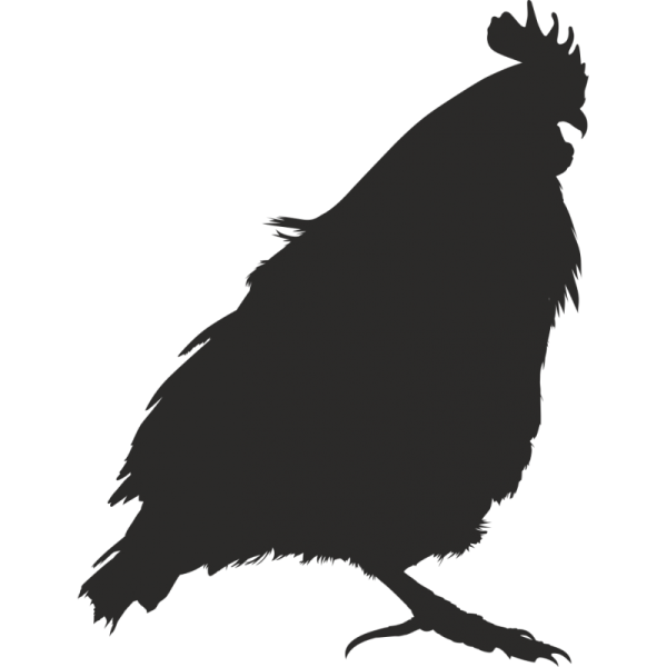 Наклейка на машину курица