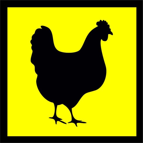 Наклейка курица