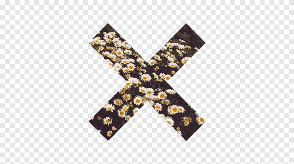 Грузинский крест в круге