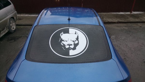 Наклейки на заднее стекло автомобиля