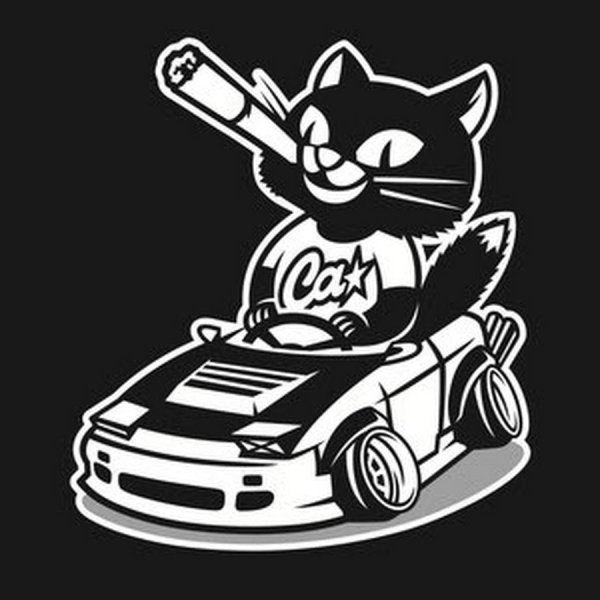 Наклейки CA на авто