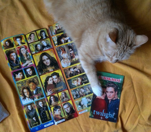 Белла Свон (Каллен)