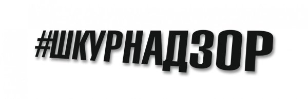 Надпись ШКУРНАДЗОР