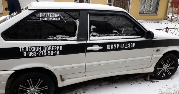 ШКУРНАДЗОР наклейка на авто