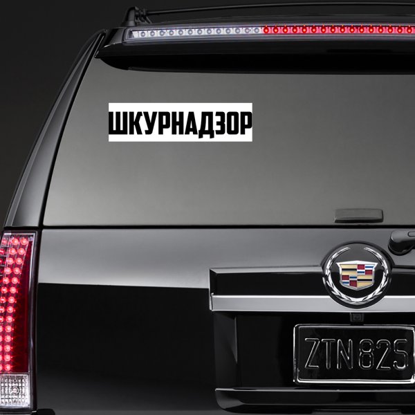 Наклейка ШКУРНАДЗОР на лобовое