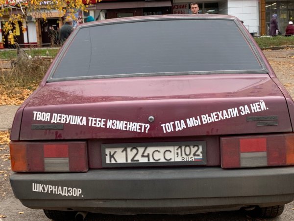 Футболка ШКУРНАДЗОР