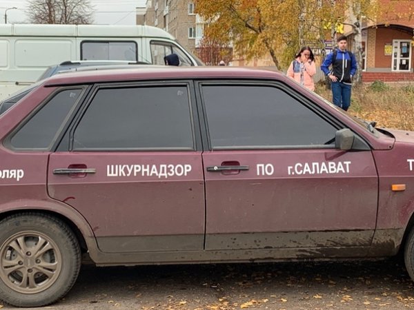 ШКУРНАДЗОР машина