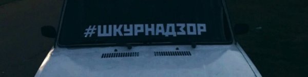 Футболка ШКУРНАДЗОР