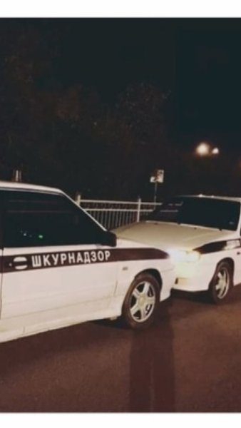 Наклейка ШКУРНАДЗОР на машину