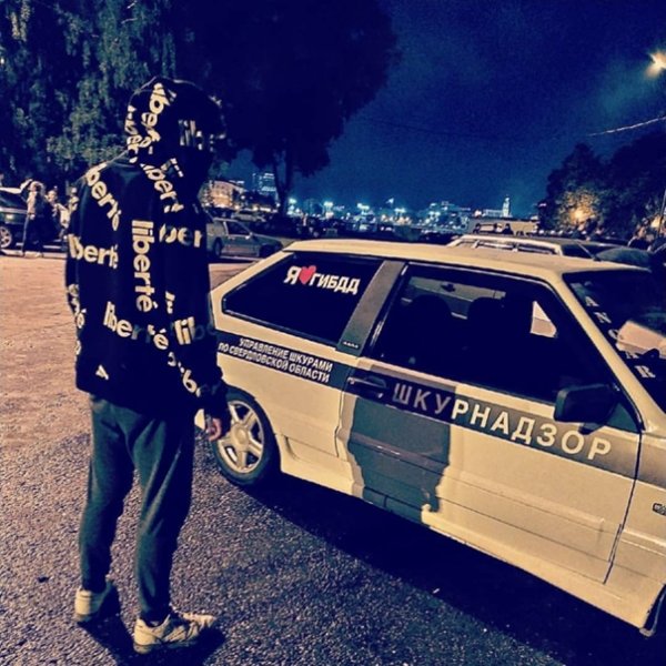 ШКУРНАДЗОР машина