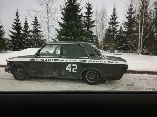 ШКУРНАДЗОР Ангарск