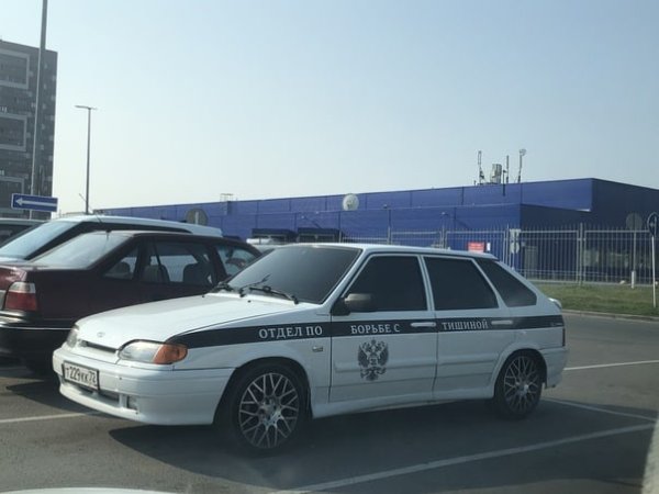 ВАЗ 21099 бункер контроль