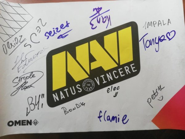 Наклейка КС го Navi