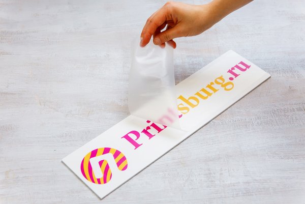 НП «Дикма» логотип