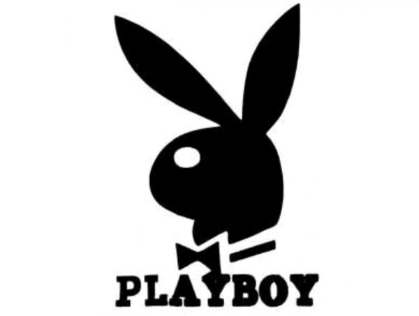 Плейбой заяц