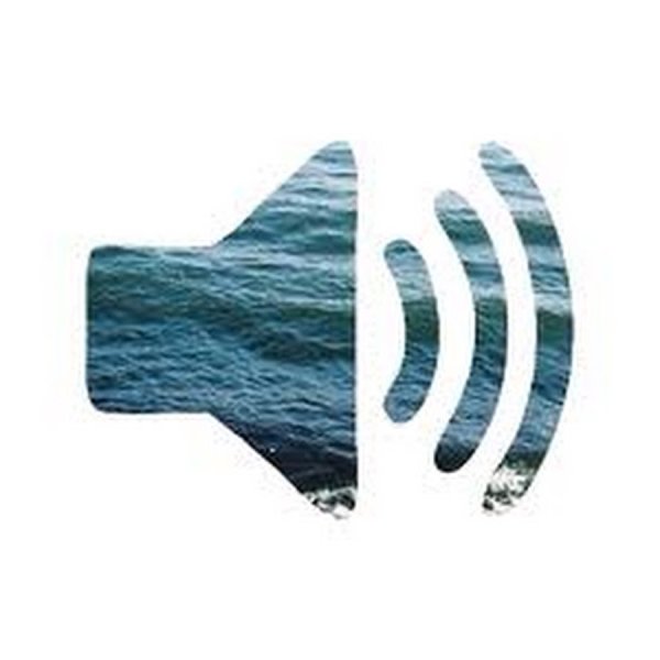 Наклейки на авто басс