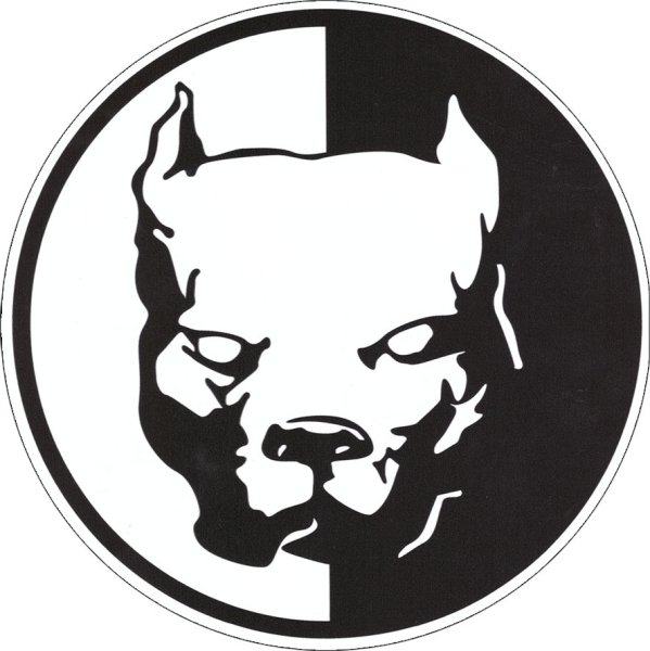 Питбуль Давидыча