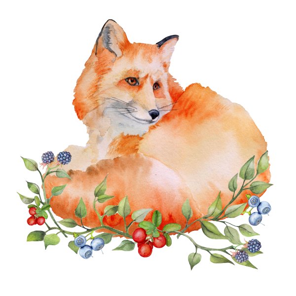 Стилизованные лисицы