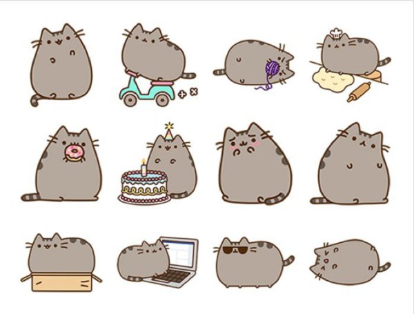 Няшные котики рисунки для срисовки