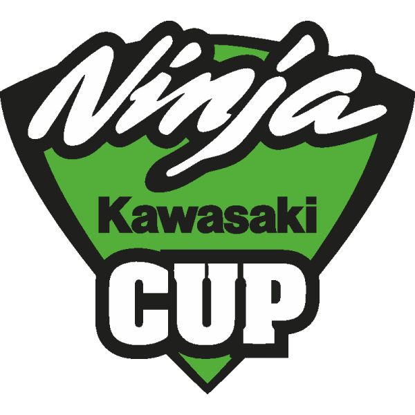 Кавасаки ниндзя наклейки