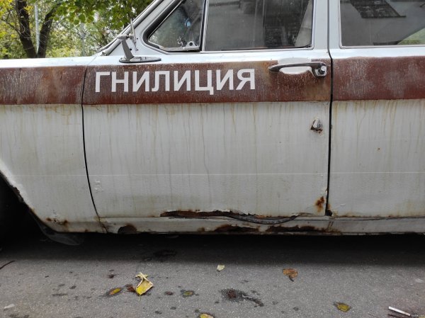 Наклейки волка на автомобиль