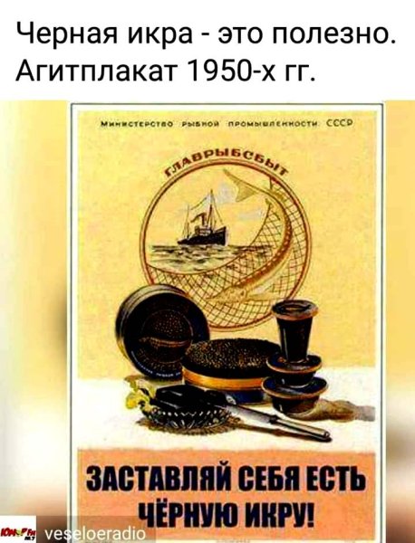Заставляйте себя есть чёрную икру плакат