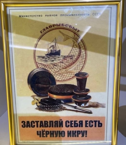 Заставляй себя есть черную икру