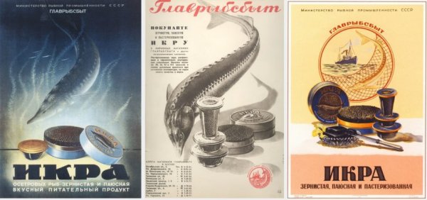 Заставляйте себя есть чёрную икру плакат