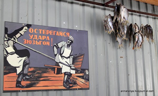 Заставляй себя есть икру