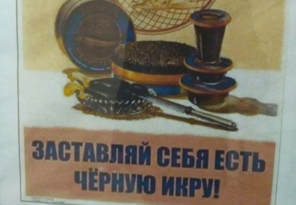 Плакаты из феафв
