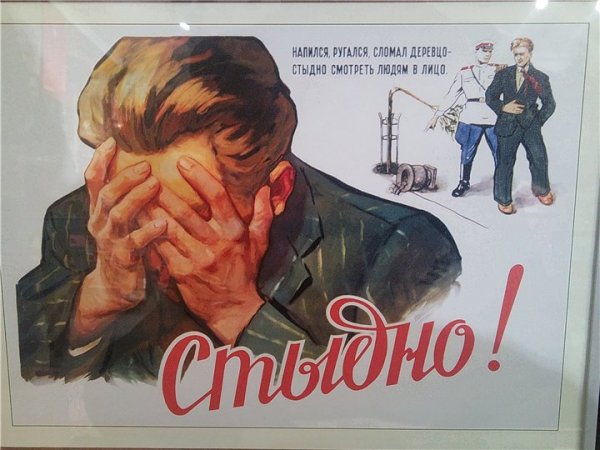 Напился ругался сломал деревцо плакат