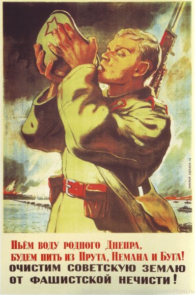 Тоидзе за родину мать