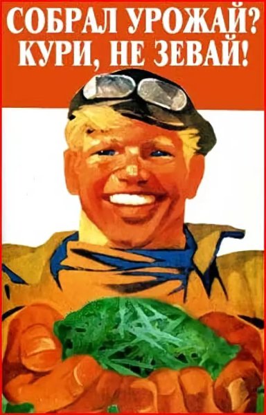 Прикольные плакаты