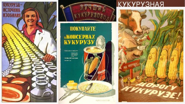 Кукурузная эпопея Хрущева