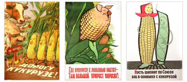 Плакат кукуруза