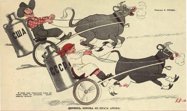 Держись корова из штата Айова