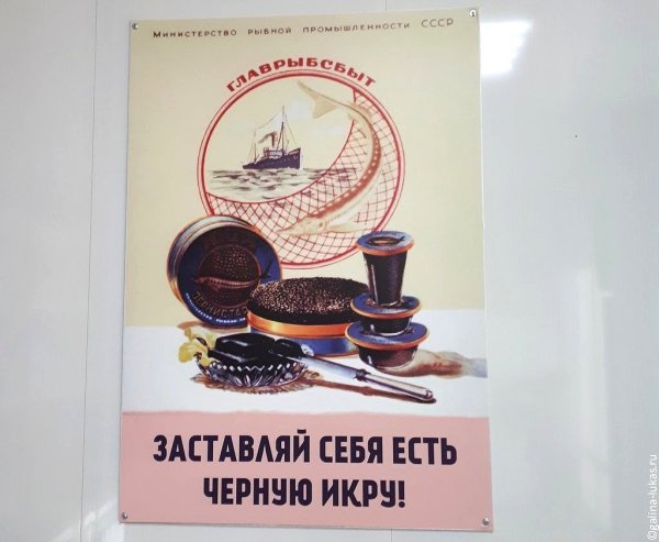 Заставляй себя есть черную икру