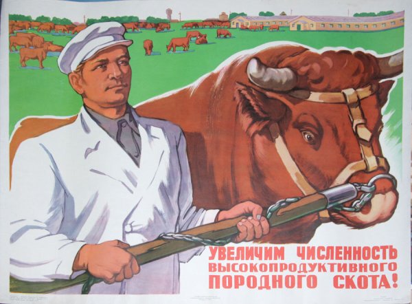 Плакаты сельское хозяйство животноводство СССР