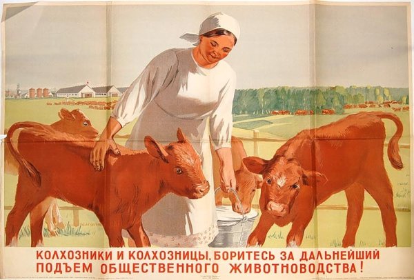 Советские плакаты про животноводство