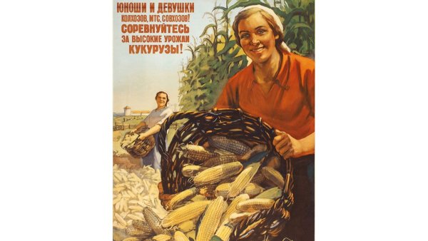 Кукуруза царица полей Хрущев