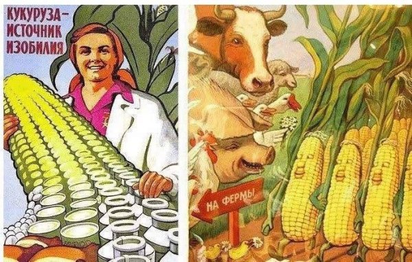 Кукуруза СССР Хрущев