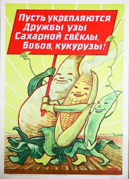 Кукуруза царица полей Хрущев