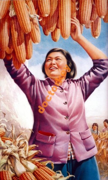 Кукурузная эпопея Хрущева плакаты