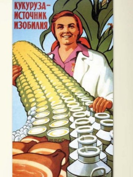 Плакат “кукурузу не напрасно